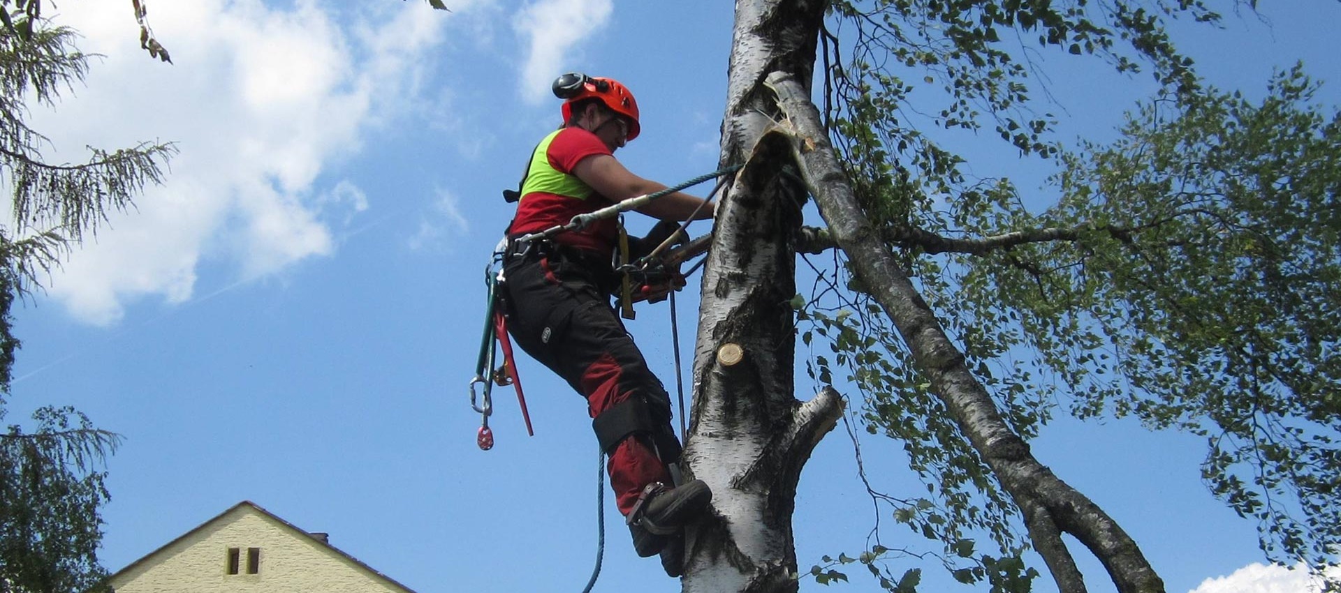 Michael Gruber Baumpflege & Dienstleistungen