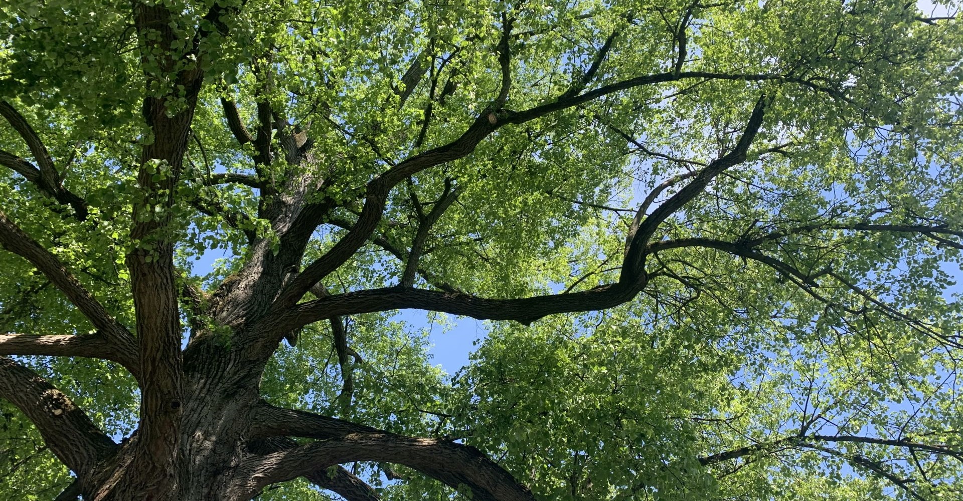 Michael Gruber Baumpflege & Dienstleistungen