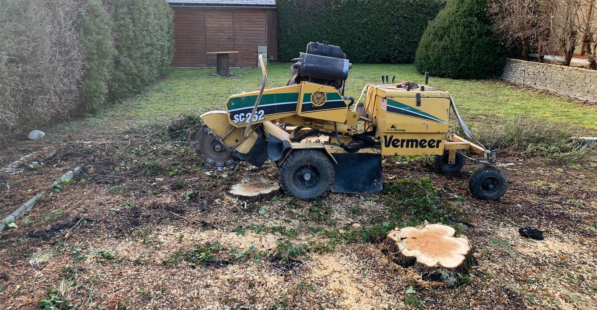 Michael Gruber Baumpflege & Dienstleistungen