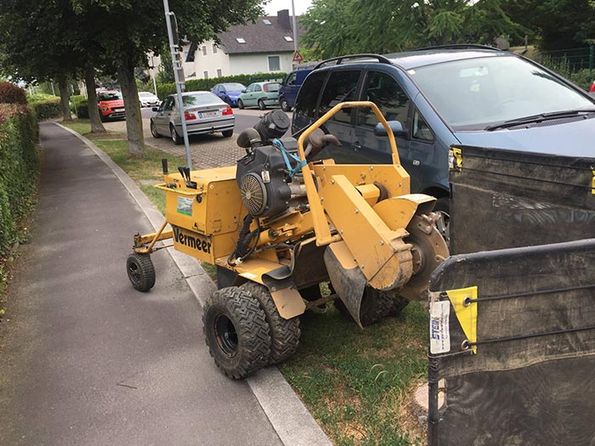 Wurzelstockfräse hydraulisch Selbstfahrer